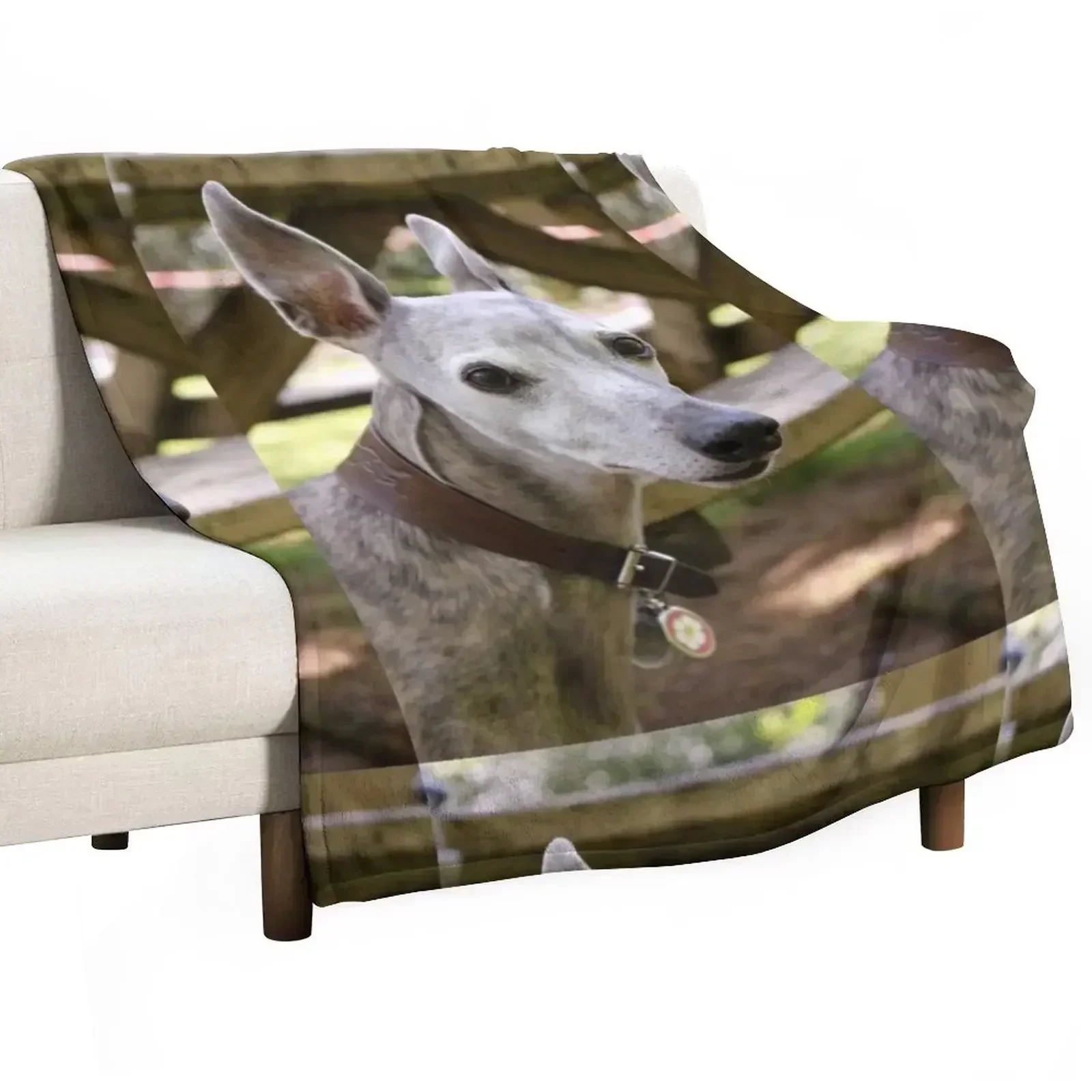 Whippet Throw Blanket Shaggy Vintage for winter Loose Softest Furry Blankets