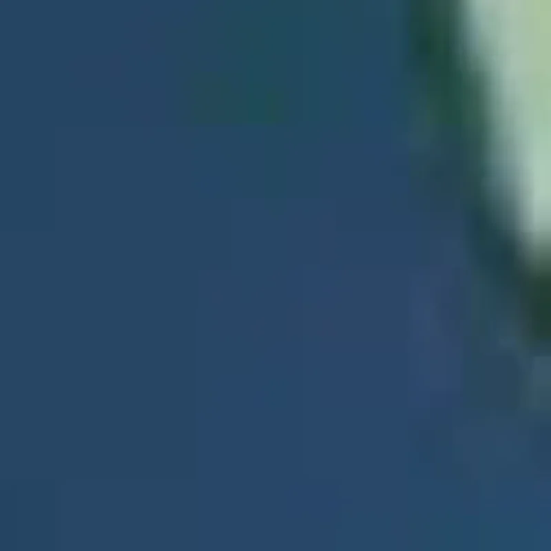 1 قطعة دليل التطهير العميق الرؤوس السوداء والرؤوس البيضاء أداة إزالة الصواميل للأنف والوجه الجلد المسام الأنظف أدوات العناية بالبشرة للنساء #1