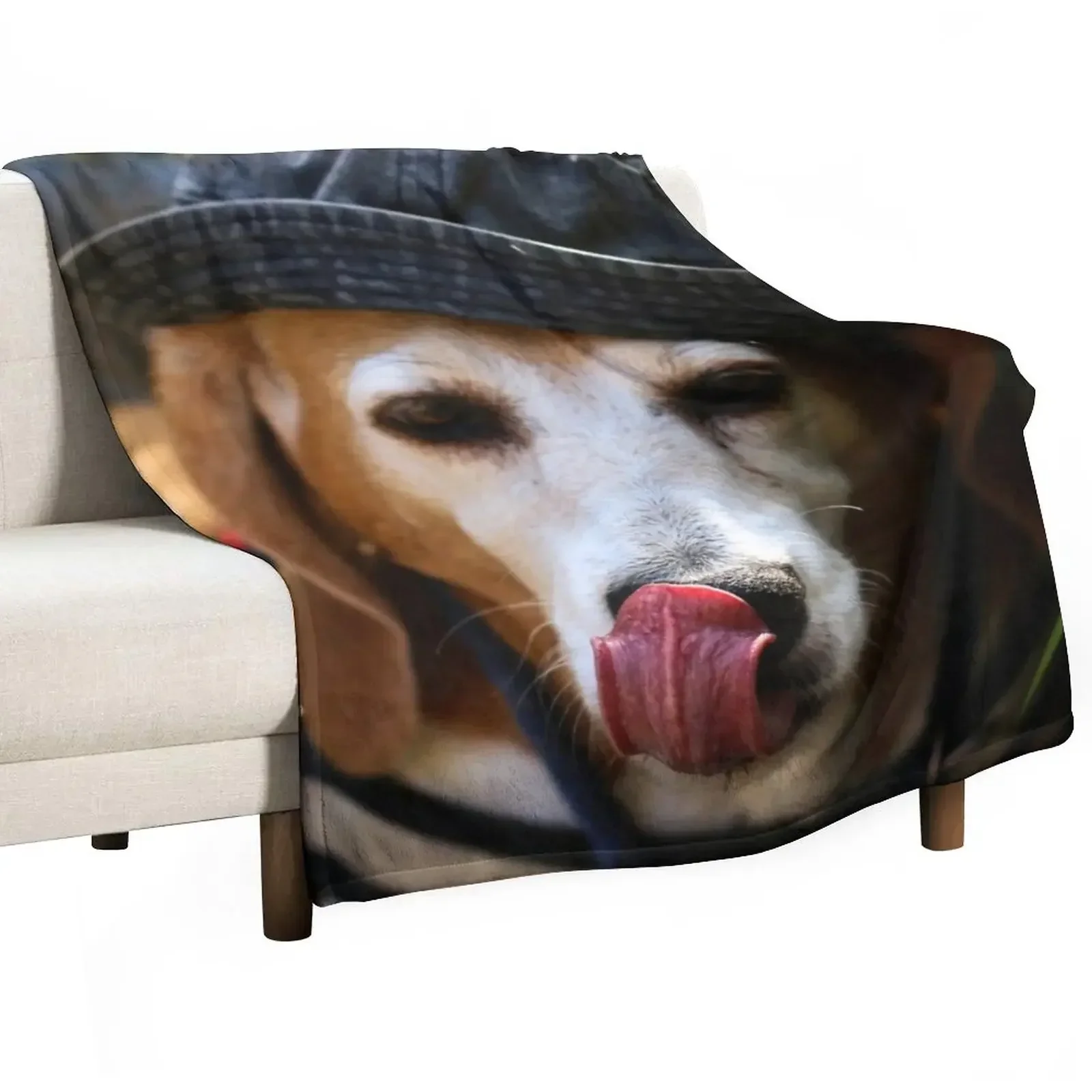 

beagle Throw Blanket Single christmas decoration Blankets