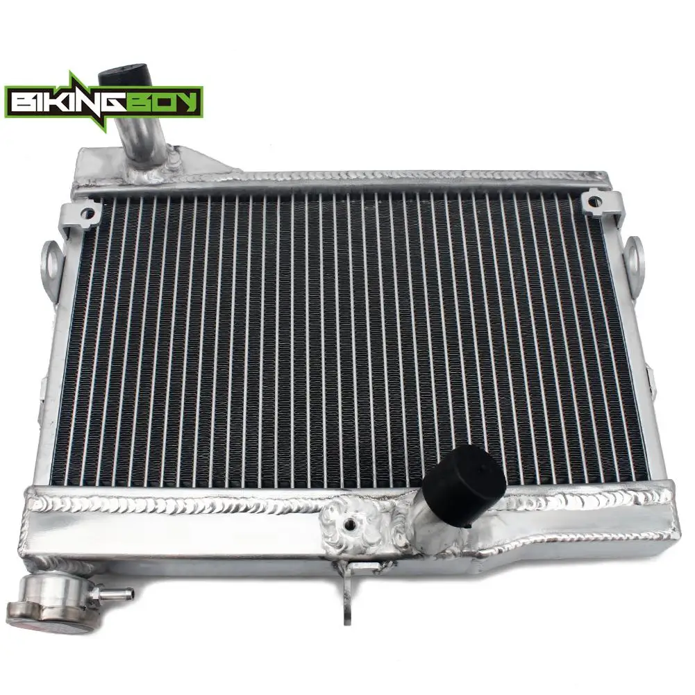 BIKINGBOY Engine Radiator Cooling For MT-09 FZ-09 MT09 MT 125 2014-2016 MT-07 FZ-07 MT07 14 15 16 17 MT 125 A ABS 14-19 Cooler