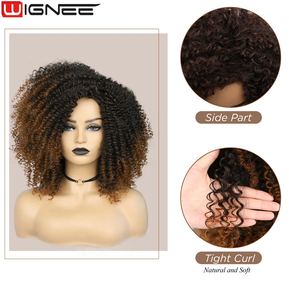 WIGNEE Short Afro Curly Wig Synthetic Hair Gluless Brown Wig Side Part Wigs On Sale Clearance Short Wig For Women Cosplay Wig