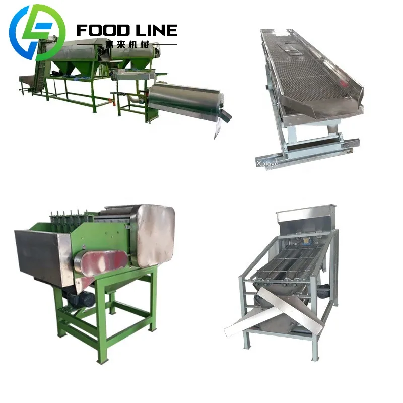 Commercial Nut Shelling Line Professional Grade Processing Equipment For Various Nuts With Energy Saving Technology