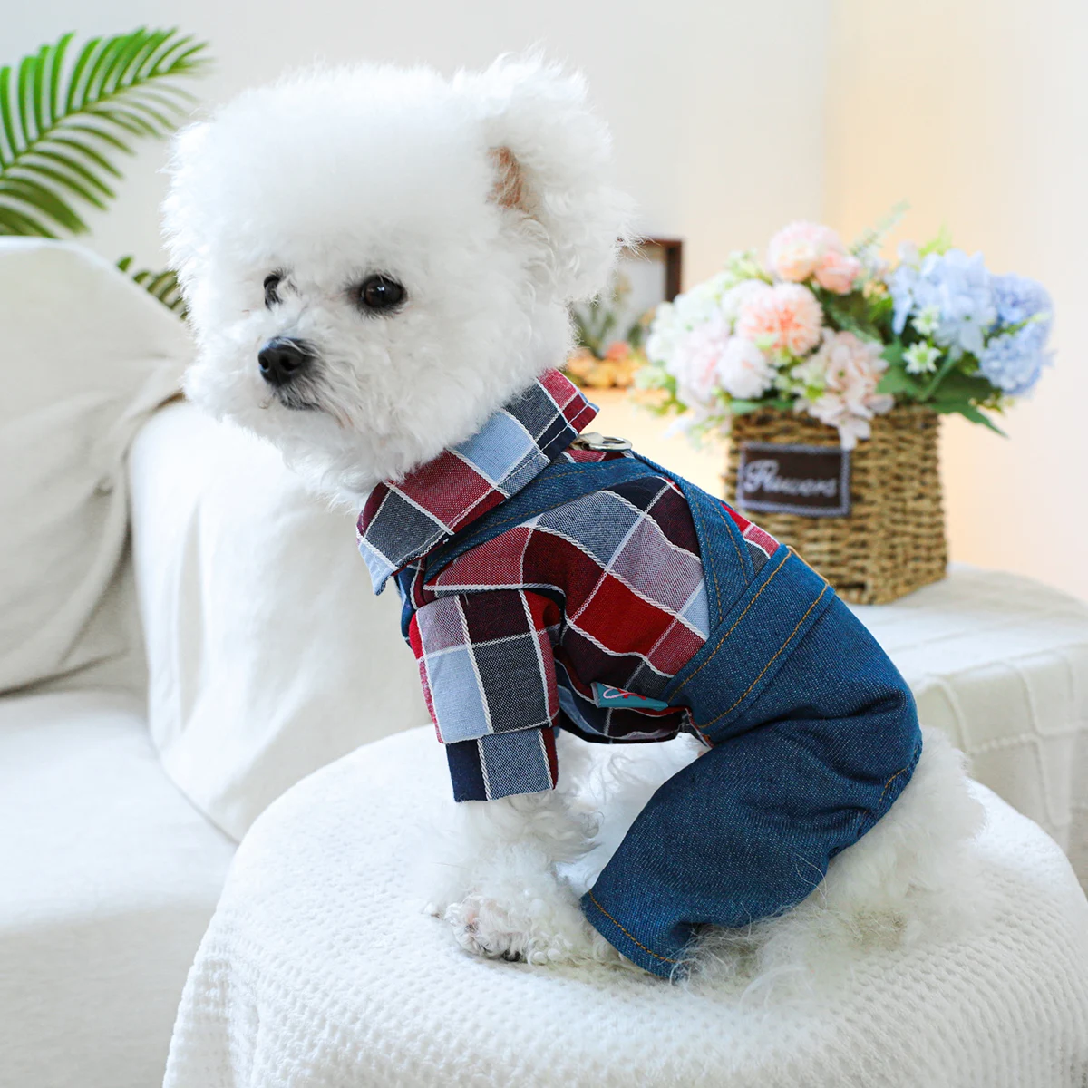 1PC Pet Clothing Spring and Autumn Handsome Cowboy Knight Four Legged Strap Pants Suitable for Small and Medium sized Dogs