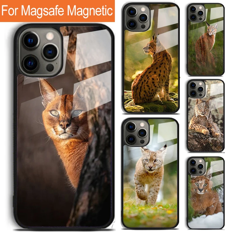 Funda de teléfono African Lynx Caracal Big Cat para iPhone 17 Air 16 15 14 12 Pro Max Plus Magsafe cubierta de carga inalámbrica magnética