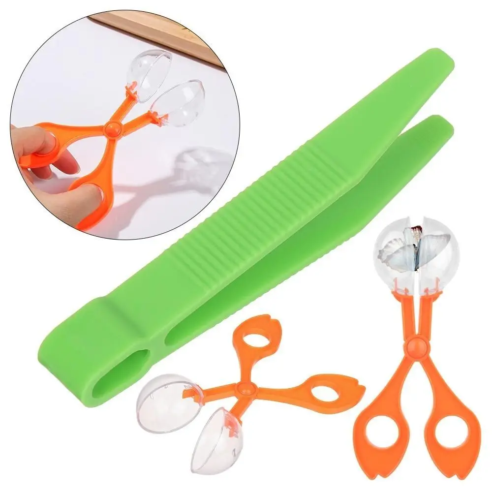 Ensemble d'outils mignons en plastique pour l'étude de la biologie, ensemble de receveurs d'insectes et de plantes, ciseaux et pinces à épiler, kit de jouets d'exploration naturelle pour l'école, 2 pièces/ensemble