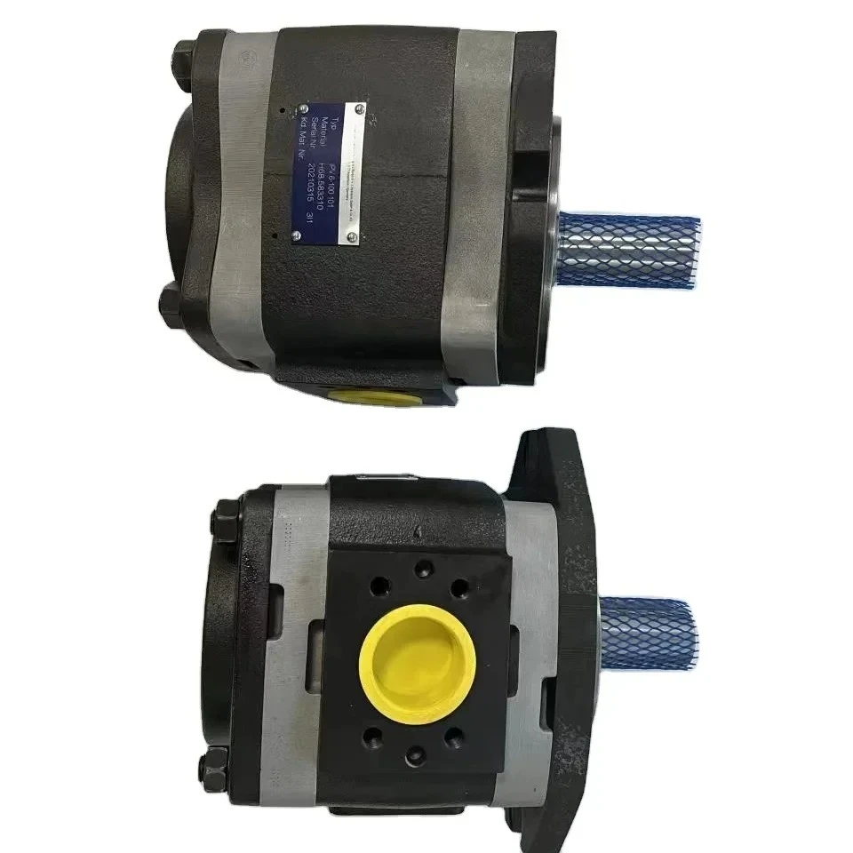 IPV 3-5 601 IPVP 6 100 601 IPVAP3-3.5 101  Molding Machine Gear Pump IPV/5-/50 IPV2V4-18/32RA1MC016A1