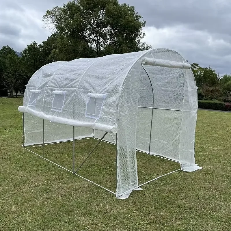 Complete Set of Agriculture Greenhouse for Indoor Garden High Efficiency Indoor Green House