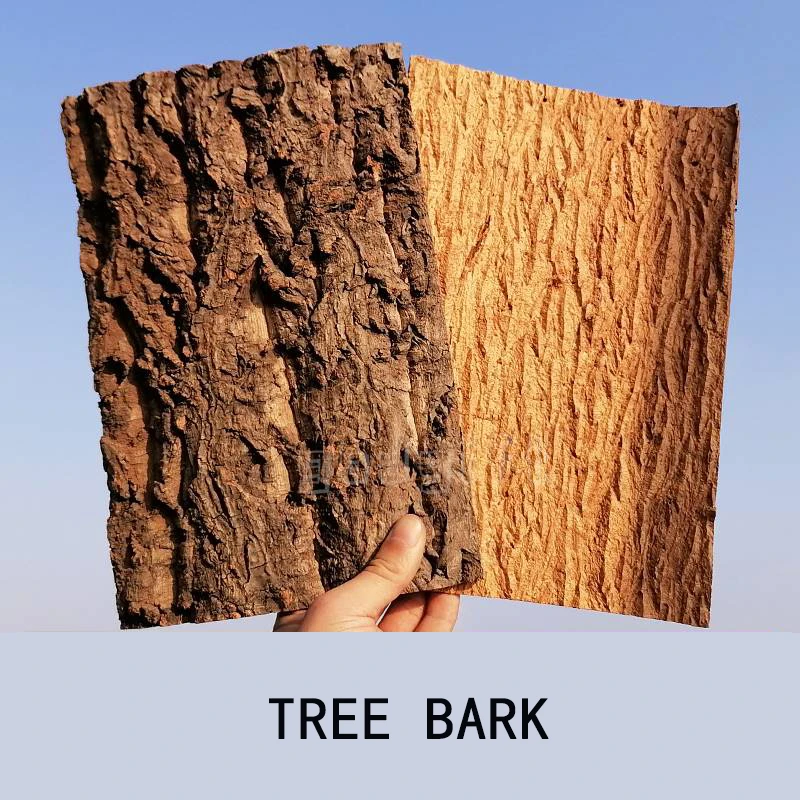 Natural Tree Bark Wood Drift wood for Aquarium Champagne Bark Drift wood Fish Tank Landscaping Aquarium Drift wood Accessories