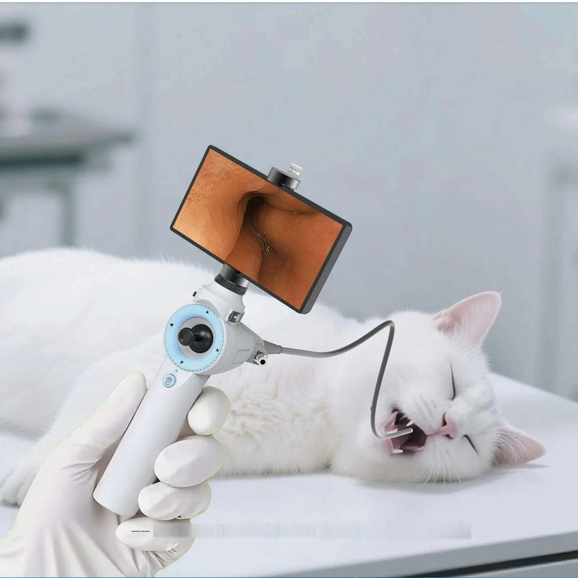 HD Flexible ENT Gastroscope, 100cm wireless system for pet animal digestive tract and ENT cavity examination