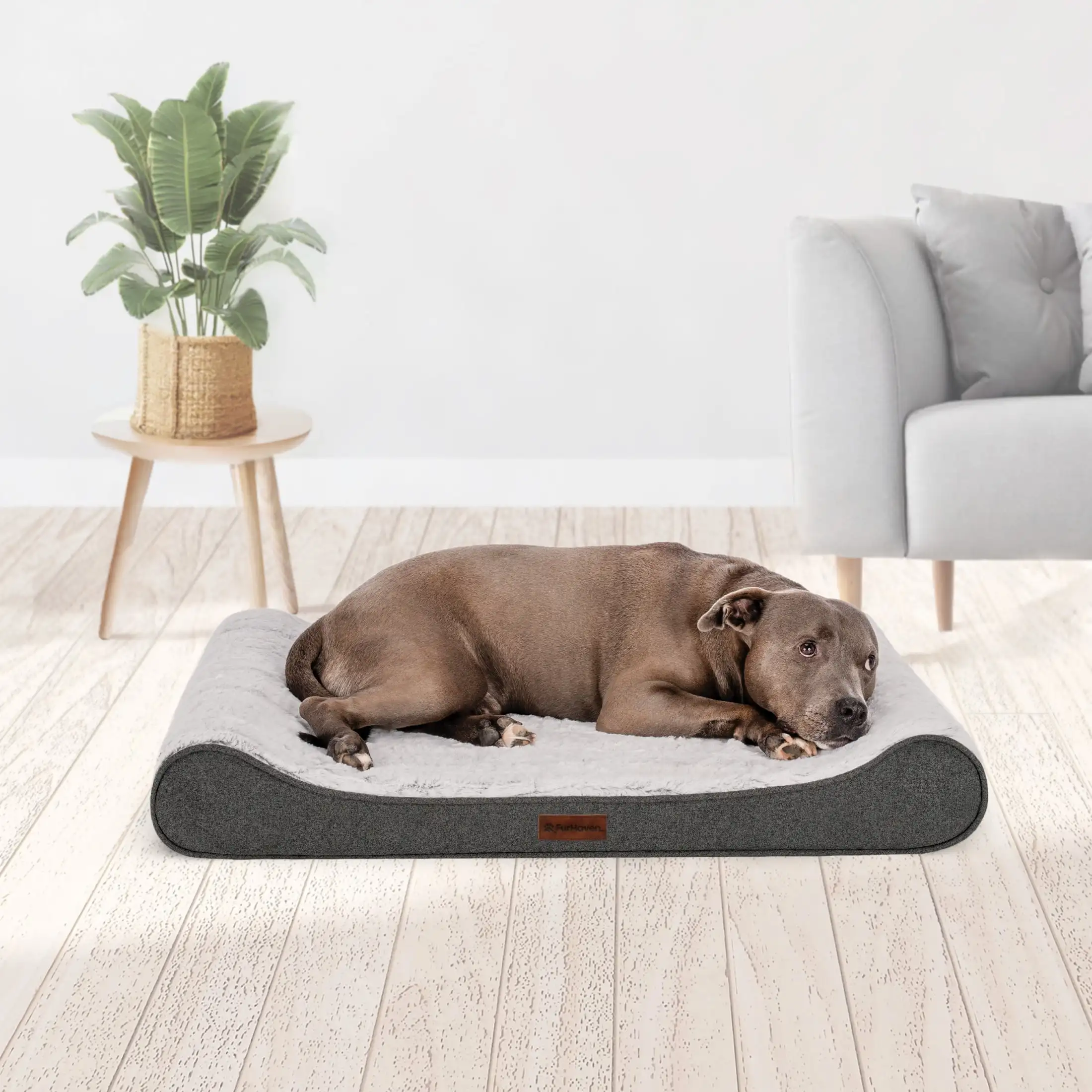

Pet Products Luxe Lounger Large Orthopedic Contour Dog Bed, Gray, 38 lb Limit