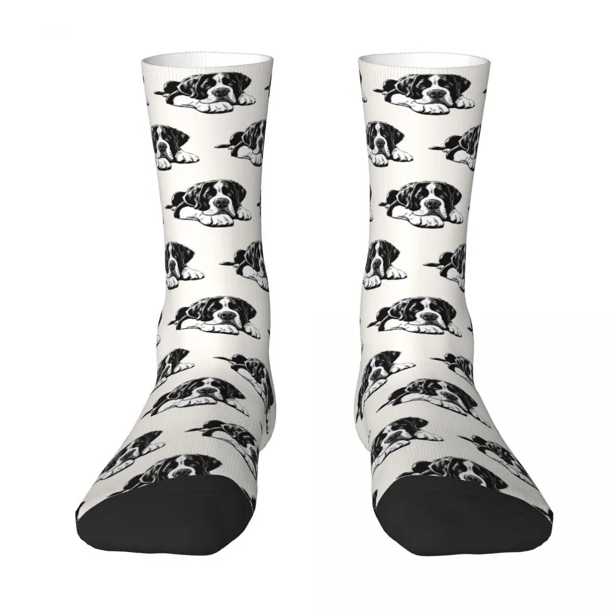 The Saint Bernard Socks Harajuku calze assorbenti per il sudore calze lunghe per tutte le stagioni accessori per regalo di compleanno Unisex