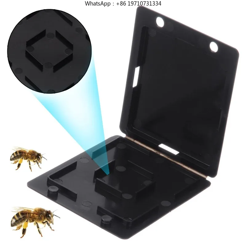 500 Pieces Small Hive Beetle Trap Reusable Beehive Beetles Traps Plastic Beehive Tool Beetles Collector