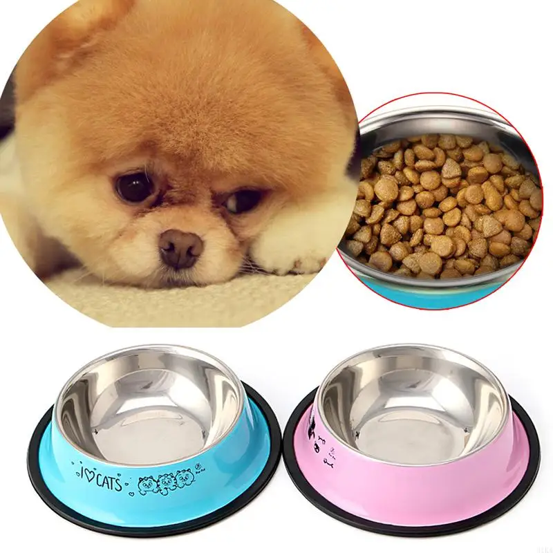 

31KA for Cat Bowls for Cat Bowls for Food and Water Kitten Bowl Large for Indoor Cats Protect Pet's Spine