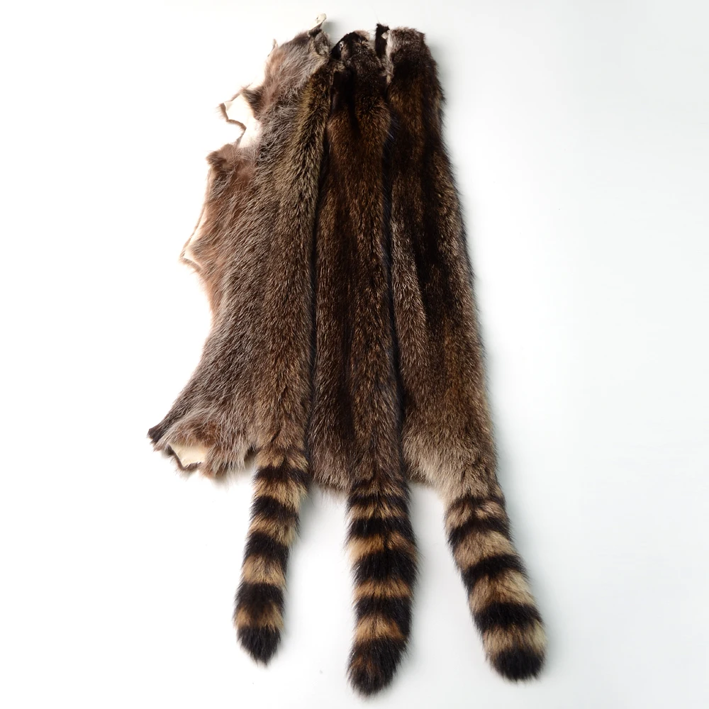 Natural bronzeado Real Raccoon couro esconder pele de pele de animal pelagem para o encanto do luxuoso, cosplay, casacos, sacos, lenço, roupas, acessório