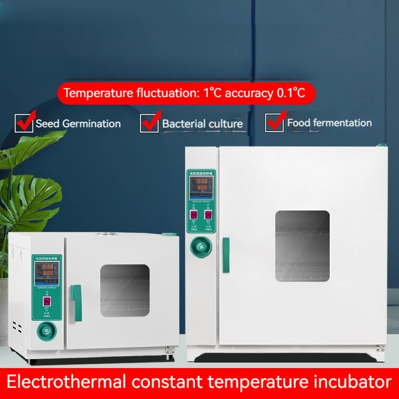 220V 250W Lab Electro-thermal Constant-temp Microbial Fermented Incubator Stainless Steel Liner Seed Germination Box