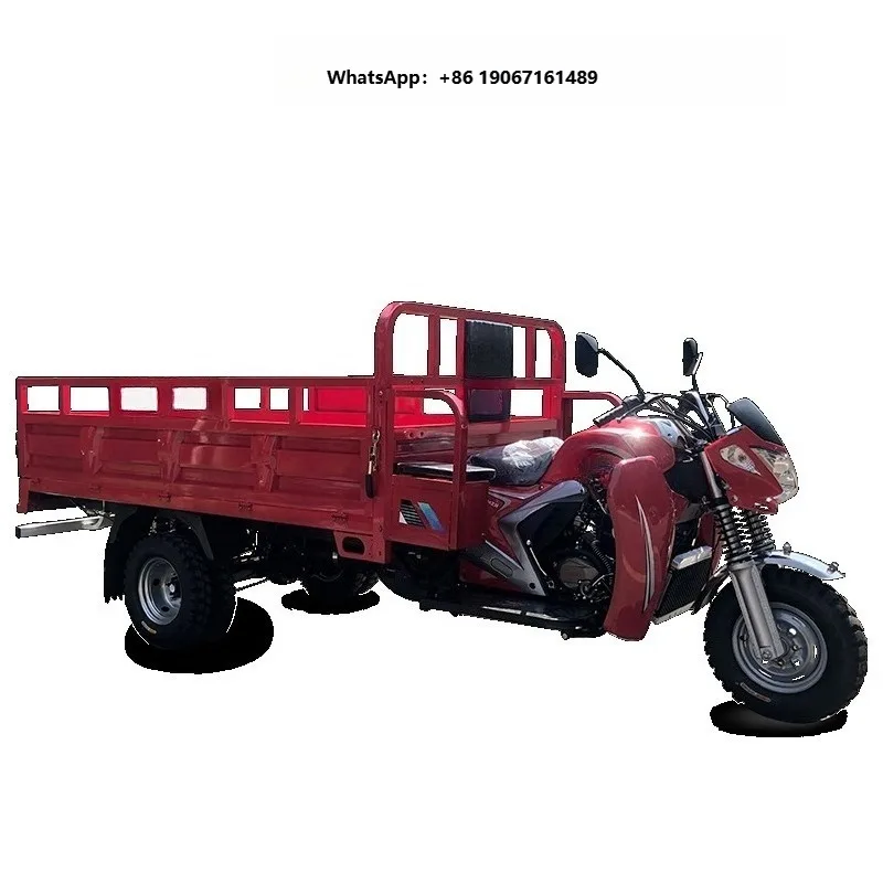 New Design High Quality Super Power 300cc Adult Freight High Power Motor Tricycle xyl