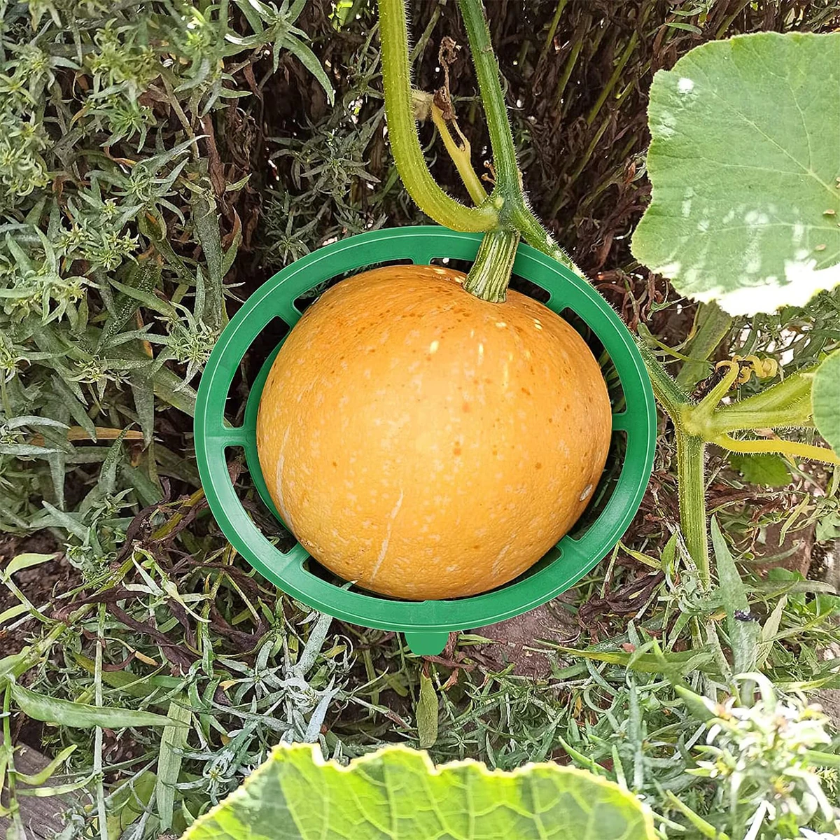 5/10Pcs Durable Melon Cradles Pumpkin Stand Plant Support for Cantaloupe Melon Watermelon Holder Garden Home Supplies