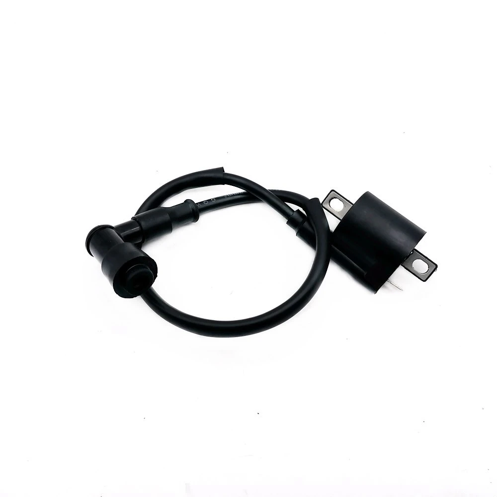 Motorcycle Ignition Coil for 50Cc 125Cc 150Cc 200Cc D8TC CG ZJ High Pressure Coil ATV Quad Dirt Pit Bike