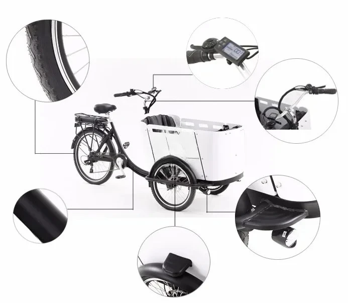 

for 2022 3 Wheels Electric Kids Carry Family Tricycles Adult Cargo Bike Bicycle Open Mobility Scooter CE Approved
