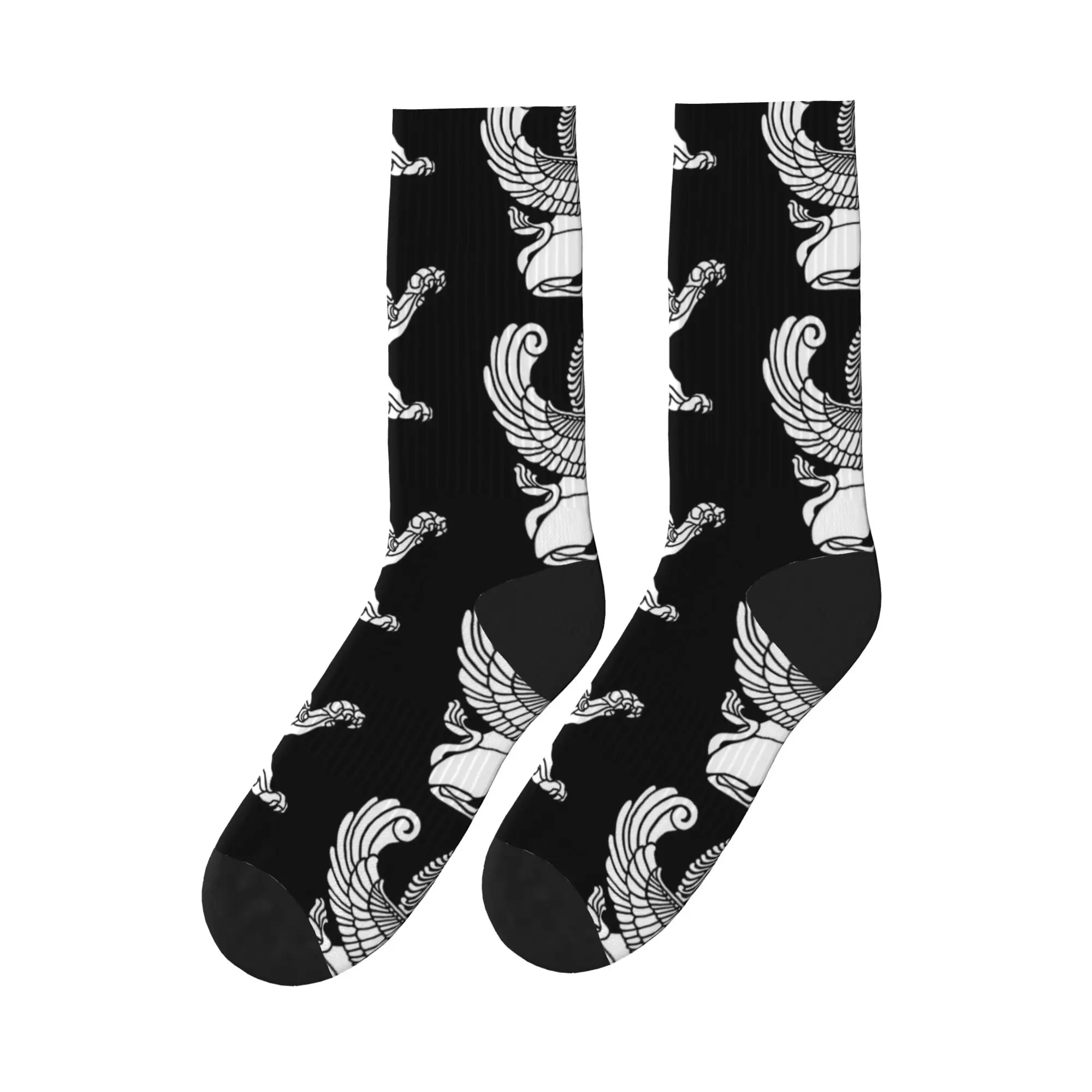 

Мужские дышащие носки с персидским львом, иранским и персидским символизмом, модные, для осени, для активного отдыха, нескользящие