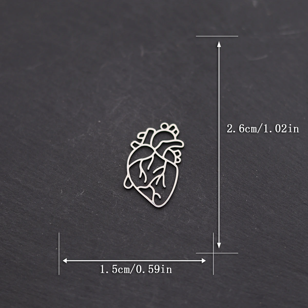 3pcs Human Cardiac Organ Heart Stainless Steel Charms Science Medicine Anatomical Pendant Biology Jewelry Making Findings