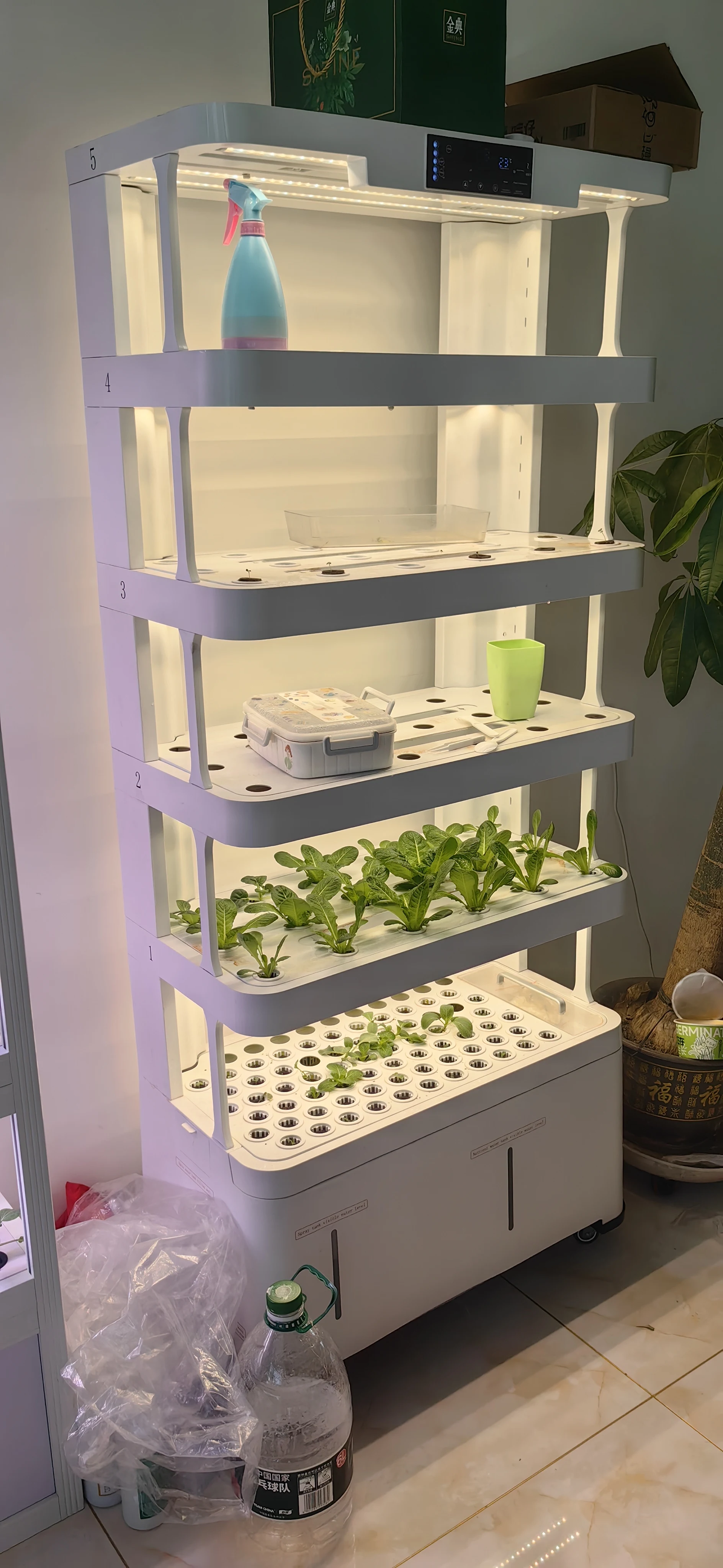 Indoor Intelligent Soilless Cu - Hydroponic System ulasan dan harga