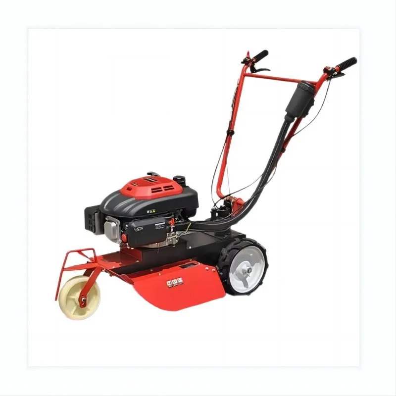 

Lawn mower, small fuel-efficient pusher