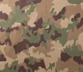 TAZ16