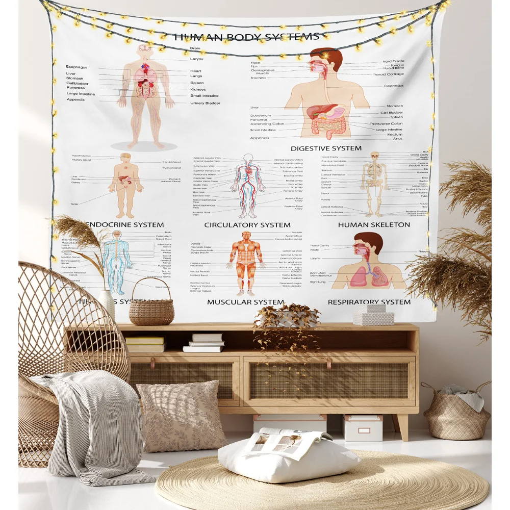 Human Anatomy Tapestry Chart of Organs Body Structures Wall Hanging Medicine Biology Tapestries Education Wall Blanket Cloth