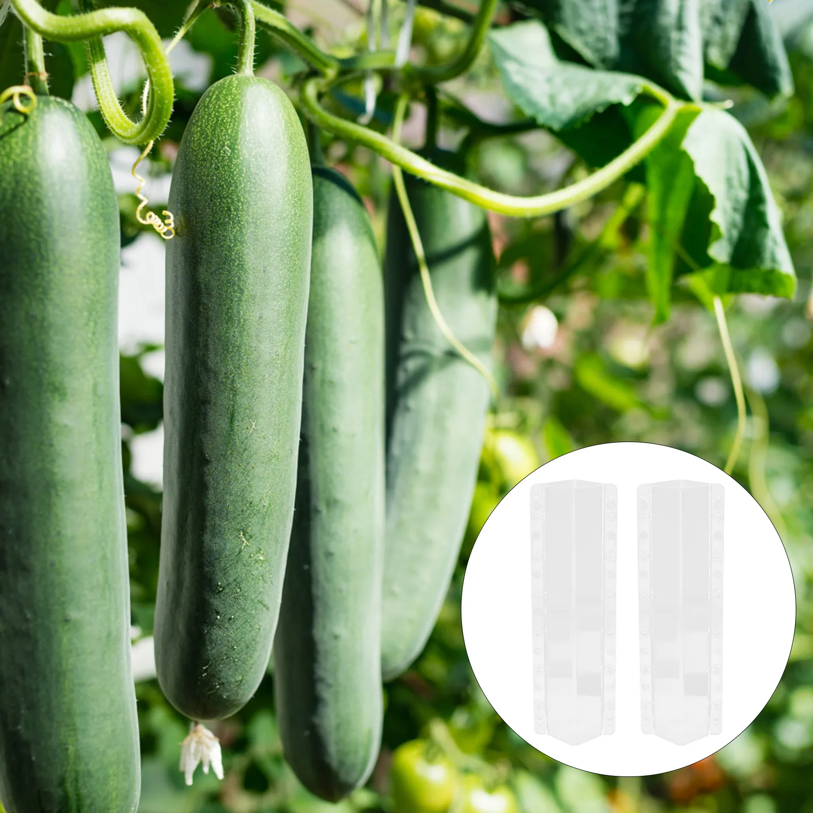 

2pcs Cucumber Mold Shaping Vegetable Fruit Mould Fruit Shape Mold Garden Forming High Strength Precision Square Growing