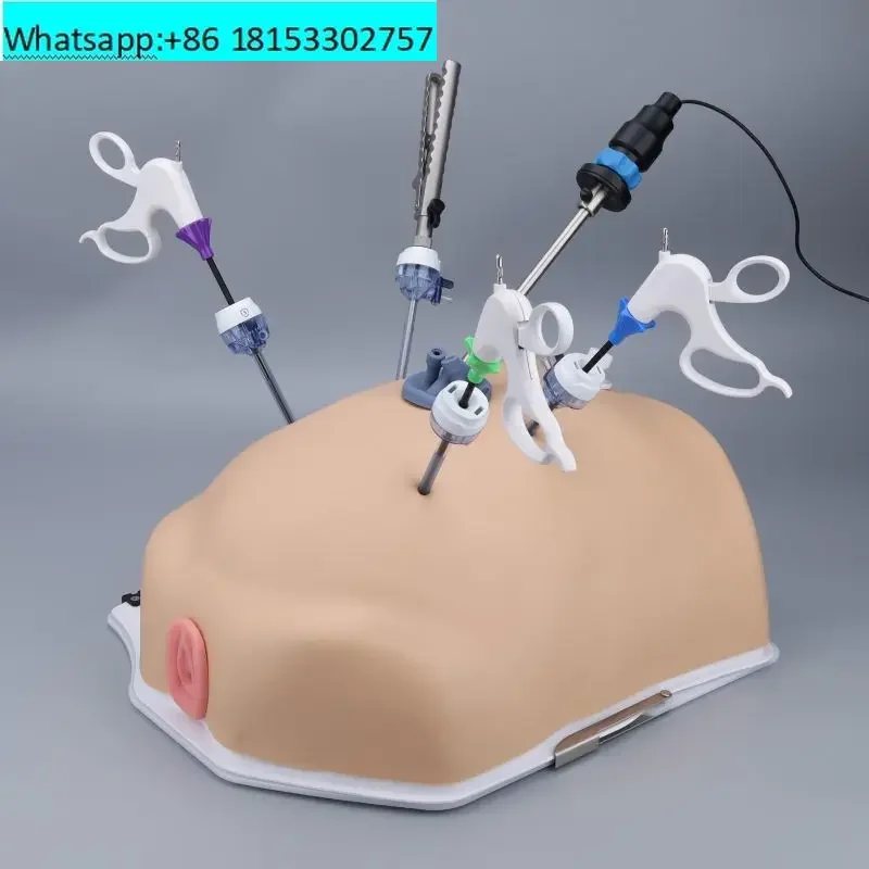 Bionic laparoscopic surgery simulation training box 30-degree focusing mirror with screen