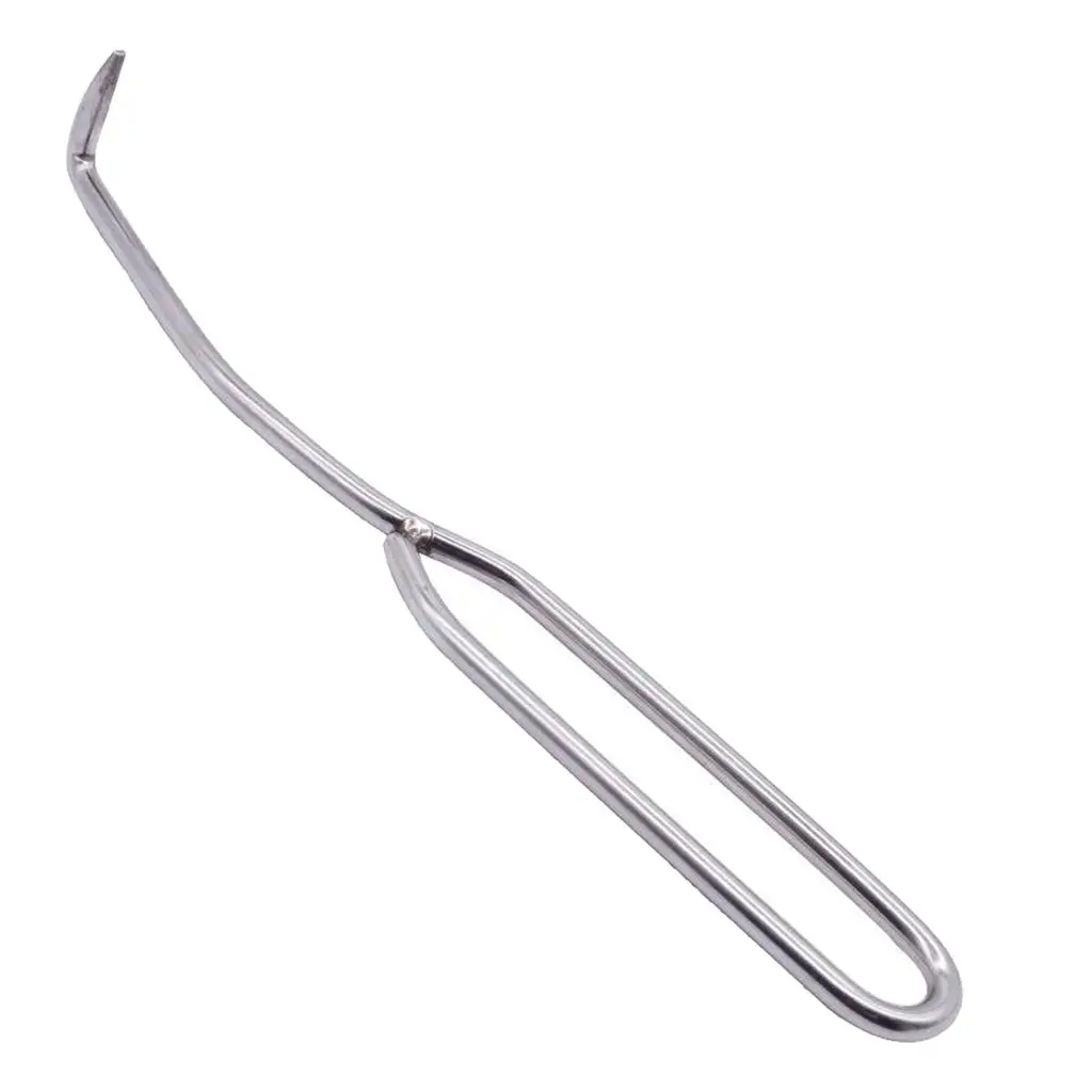 Durable Stainless Beekeeping Tool Bee Lifter and Scraper Equipment for