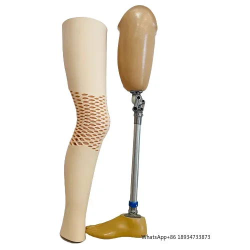 Left Right Leg Prosthesis with Artificial Knee Steel Orthotics for AK Artificial Limbs Class I Medical Supply