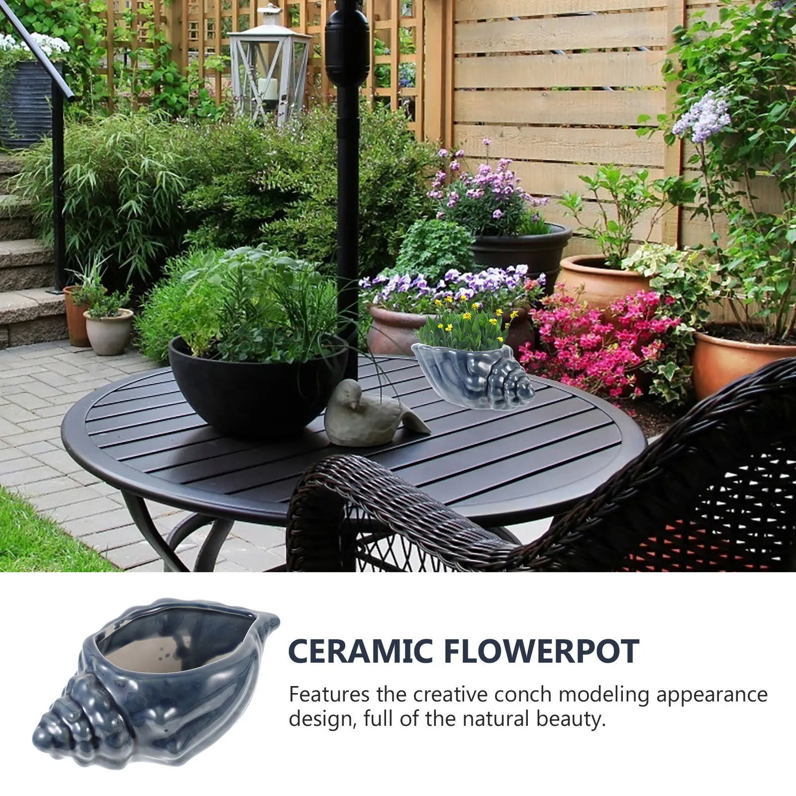 

1Pcs Conch Ceramic Flowerpot Creative Plant Pot Desktop Decorative Ceramic Craft Planter Pot Indoor Outdoor Use