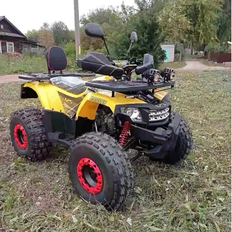Quad ATV tout-terrain 2 roues motrices Sport Motocross ATV Conqueror