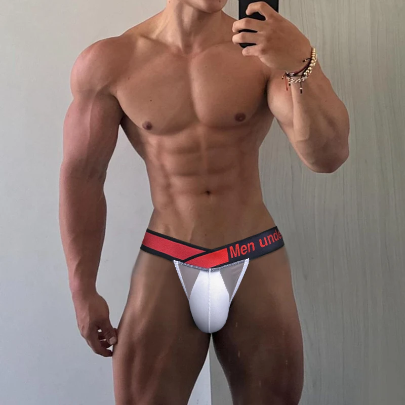 1/2/3 PCS Men\'s Sexy Briefs Ultra Transparent Thin Breathable Mesh Bikini Men Underpants High Cut Man Underwear Gays Panties