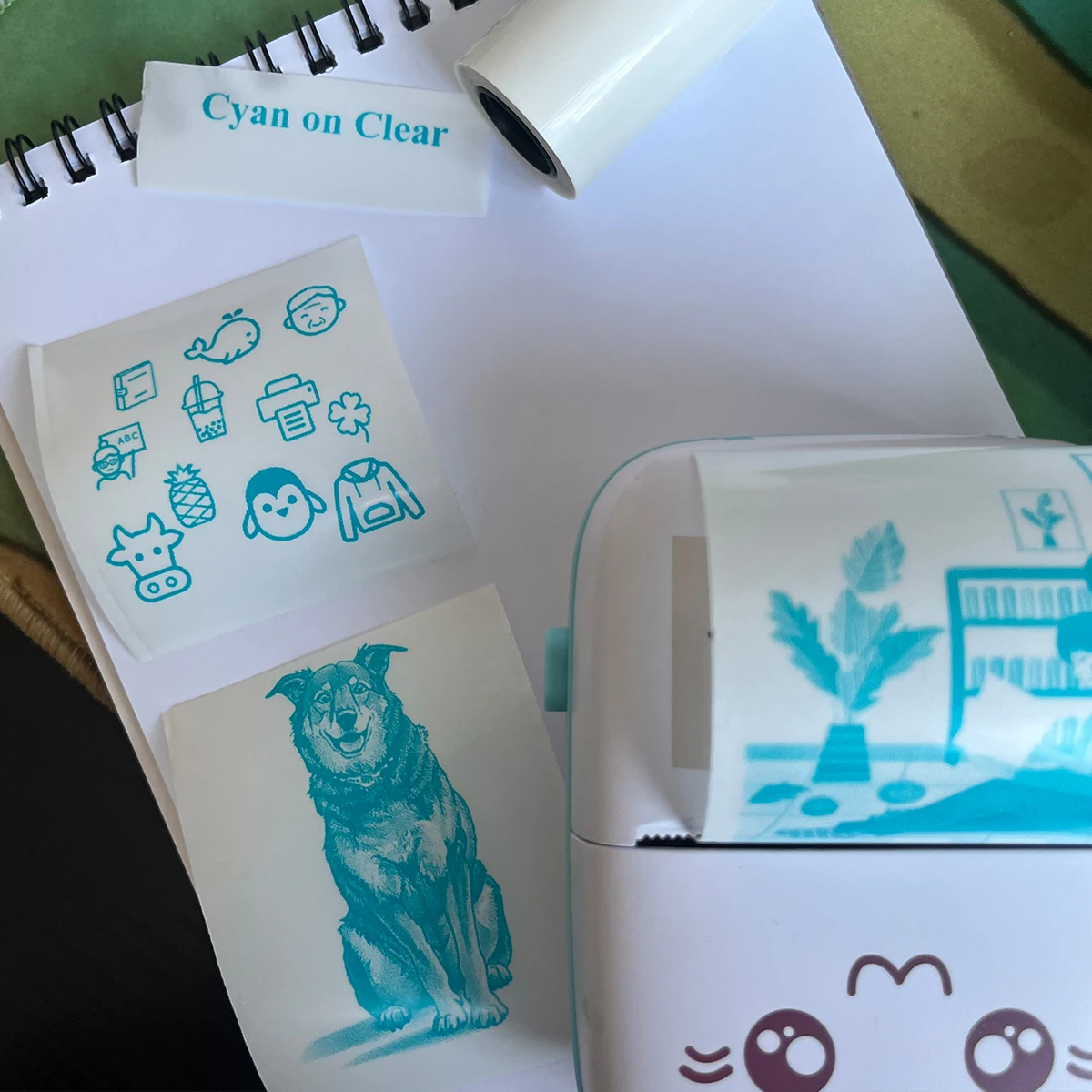 حراري شفاف ذاتي اللصق للطابعات المحمولة الصغيرة حتى مع ورق طباعة حراري لسطح ضوء الكاميرا، 57 مم × 25 مم