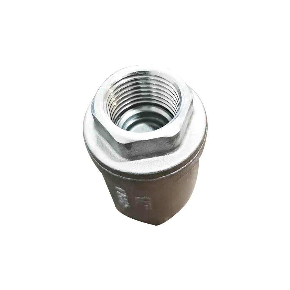 SS316 SS304 Stainless Steel Female Thread Vertical Lift Spring Water Pump Water Pipe Vacuum Check Valve Metal Factory