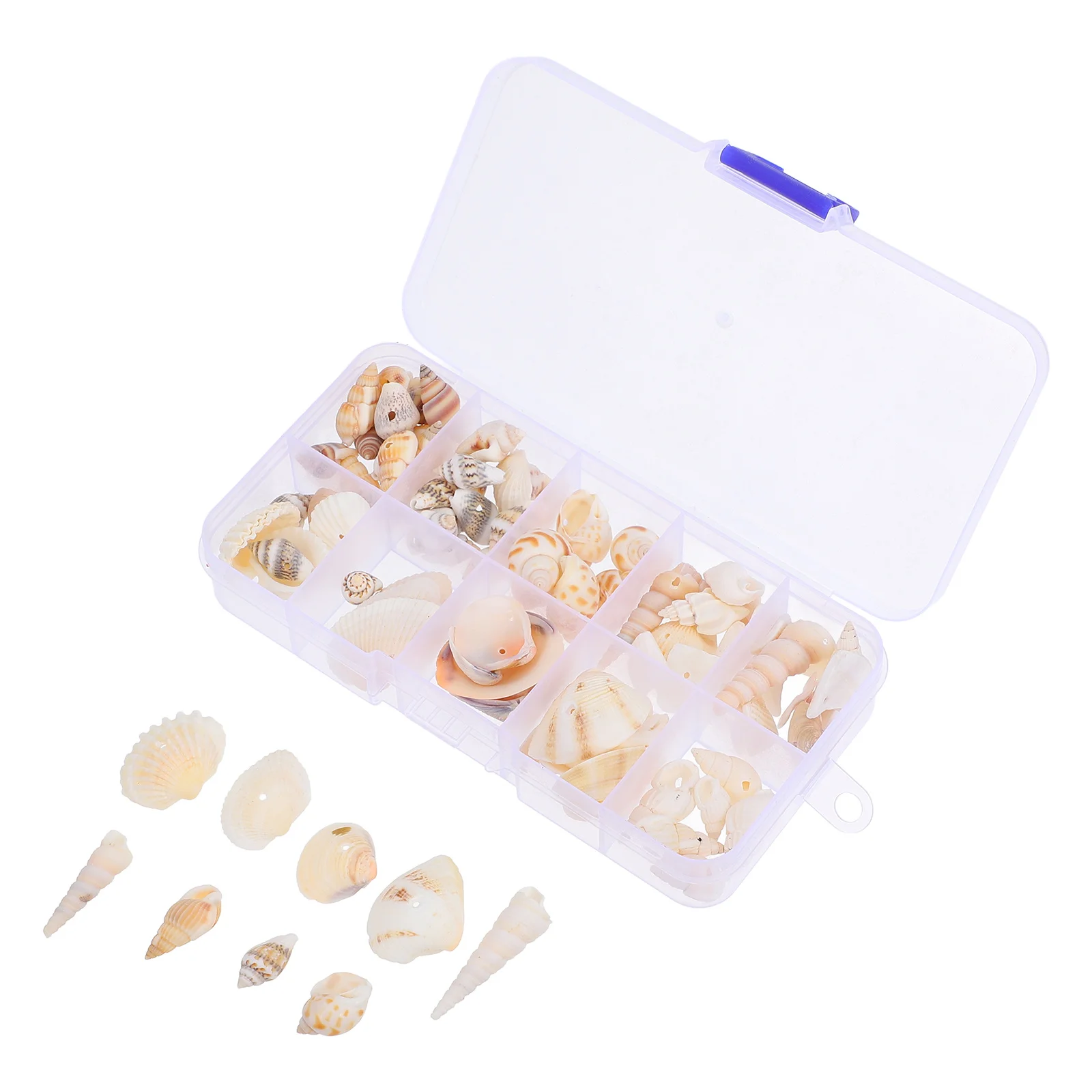 

1 Box Of Natural Small Shells For Diy Jewelry Making Hole-Punched Seashell Aquarium Landscape Craft Diy Decoration Natural