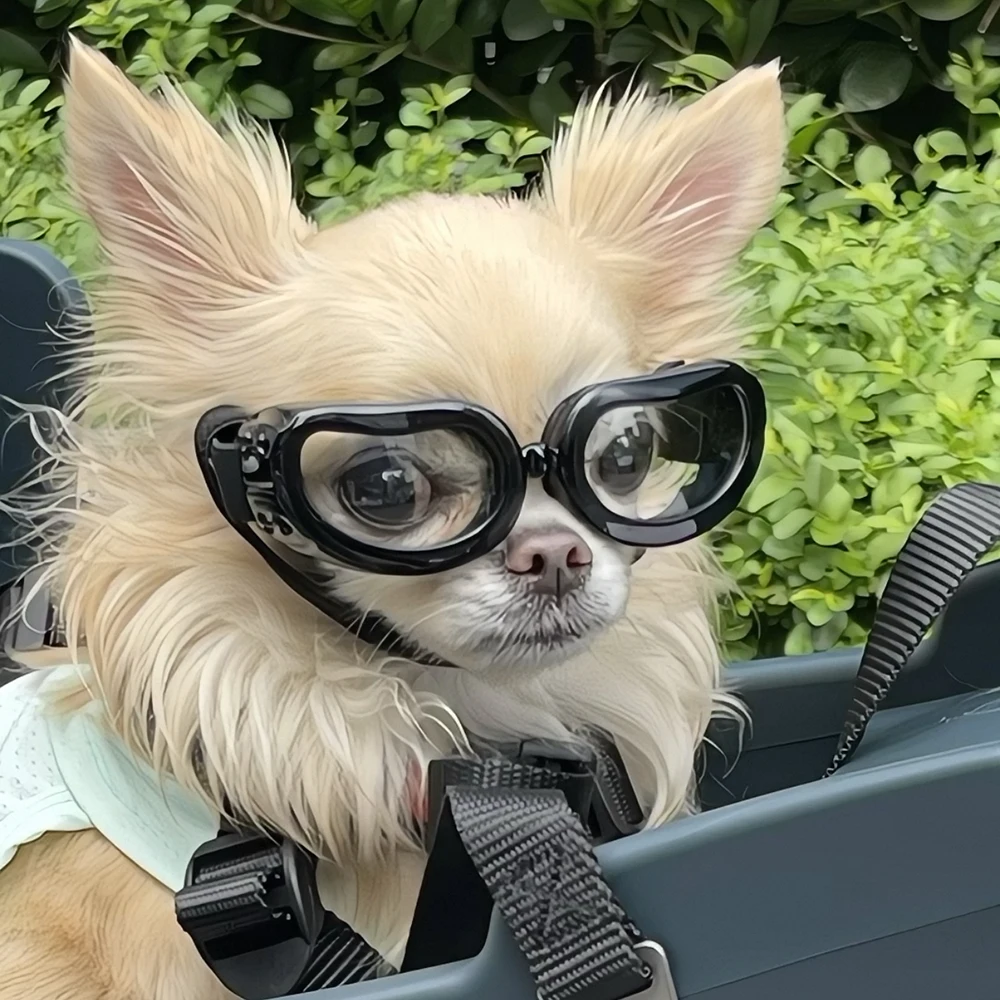 Retro Puppy Dog Pilot Goggles for Small Dogs Cycling Pet Glasses Yorkshire Pinscher Sunglasses Mascotas Photography Accessories