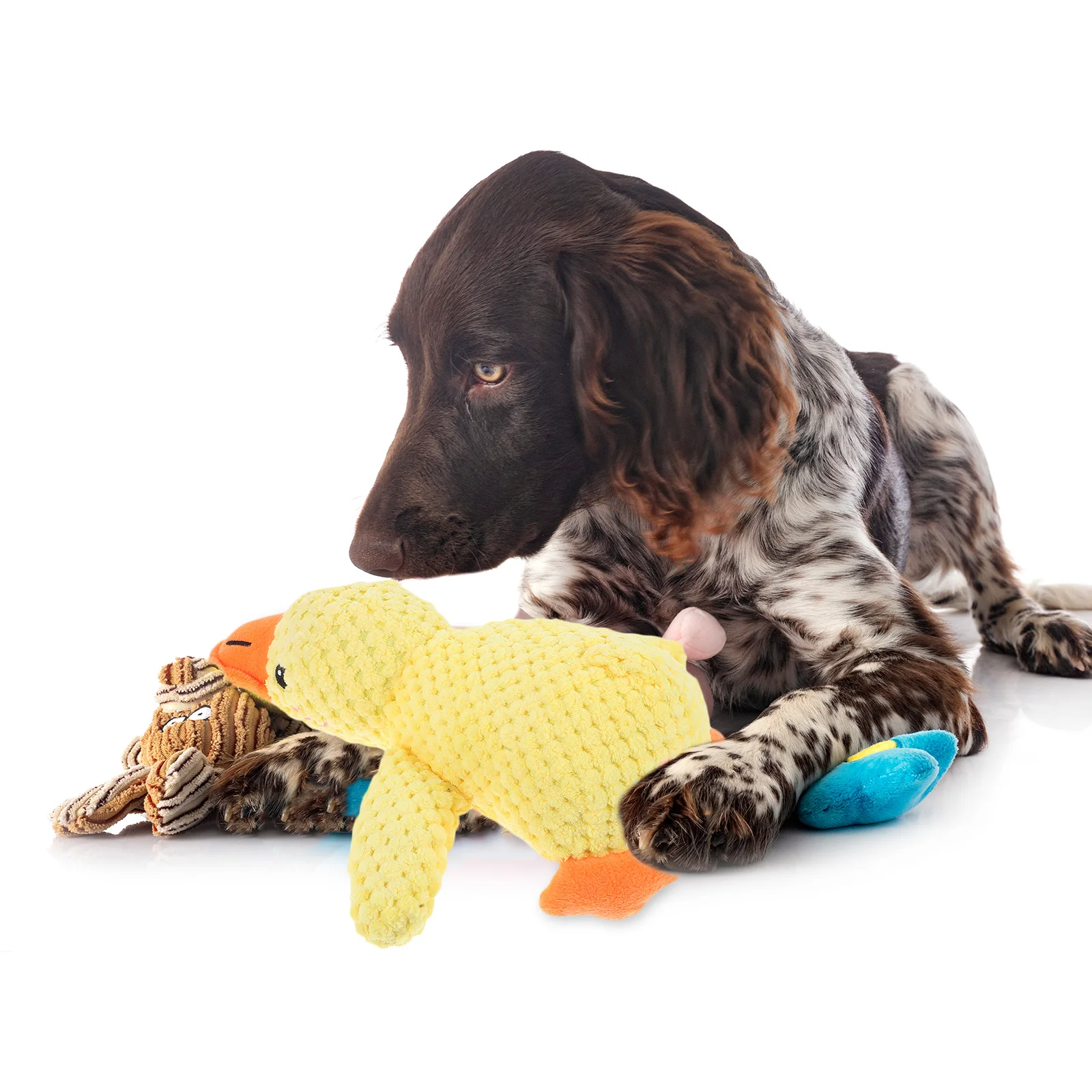 

2Pcs Yellow Squeaky Chew Fun for Small Dogs Puppies Pet Sound Dog Small Animal Sounds