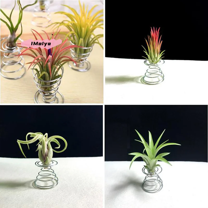 M-6 Pcs Flower Pot Stainless Steel Air Plant Stand Container Tillandsia Holder Tabletop Plant Display Rack Vase