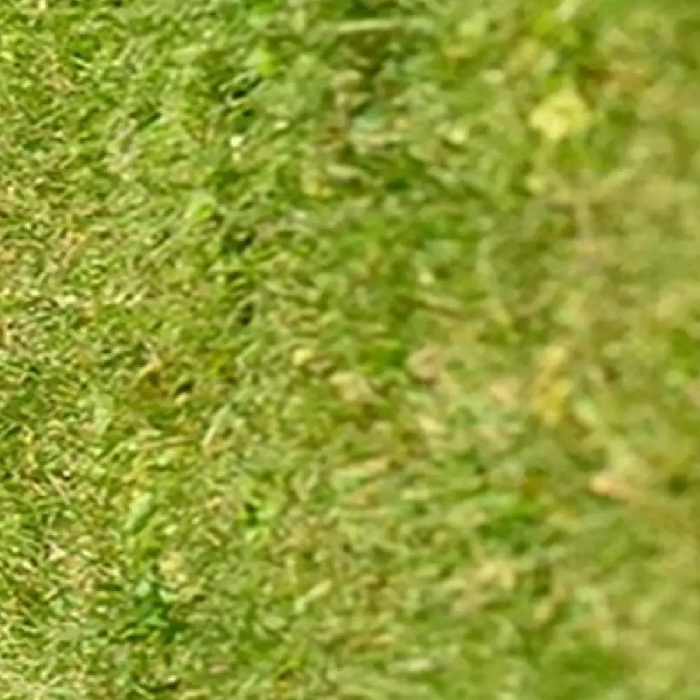 

только за 1 почтовых расходов и цены на дополнительные цены на заказ