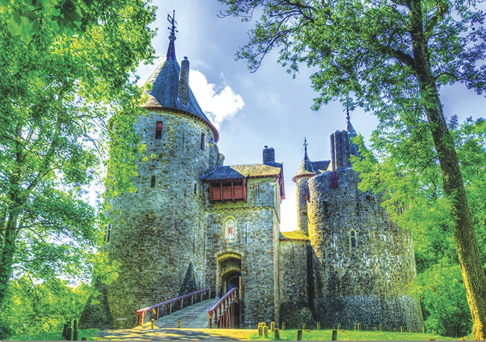 

Johnson Medieval Castle backdrops High quality computer print scenic Photography Studio Backgrounds