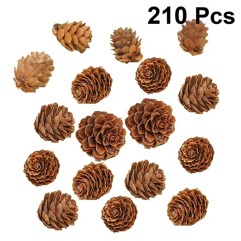 

210pcs 2-3cm Pine Cones Mini Natural Pinecones Decorations For Home Thanksgiving Christmas Pine Cone Christmas Decoration