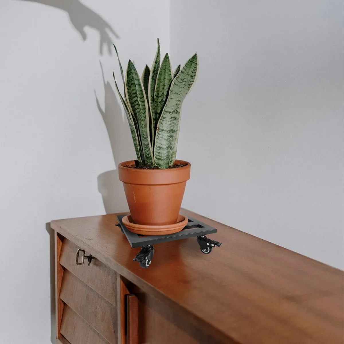 Black Metal Flower Pot Tray Rolling Plant Stand Strong Sturdy Square Shape Indoor Outdoor Mobile Plant Dolly Heavy Duty