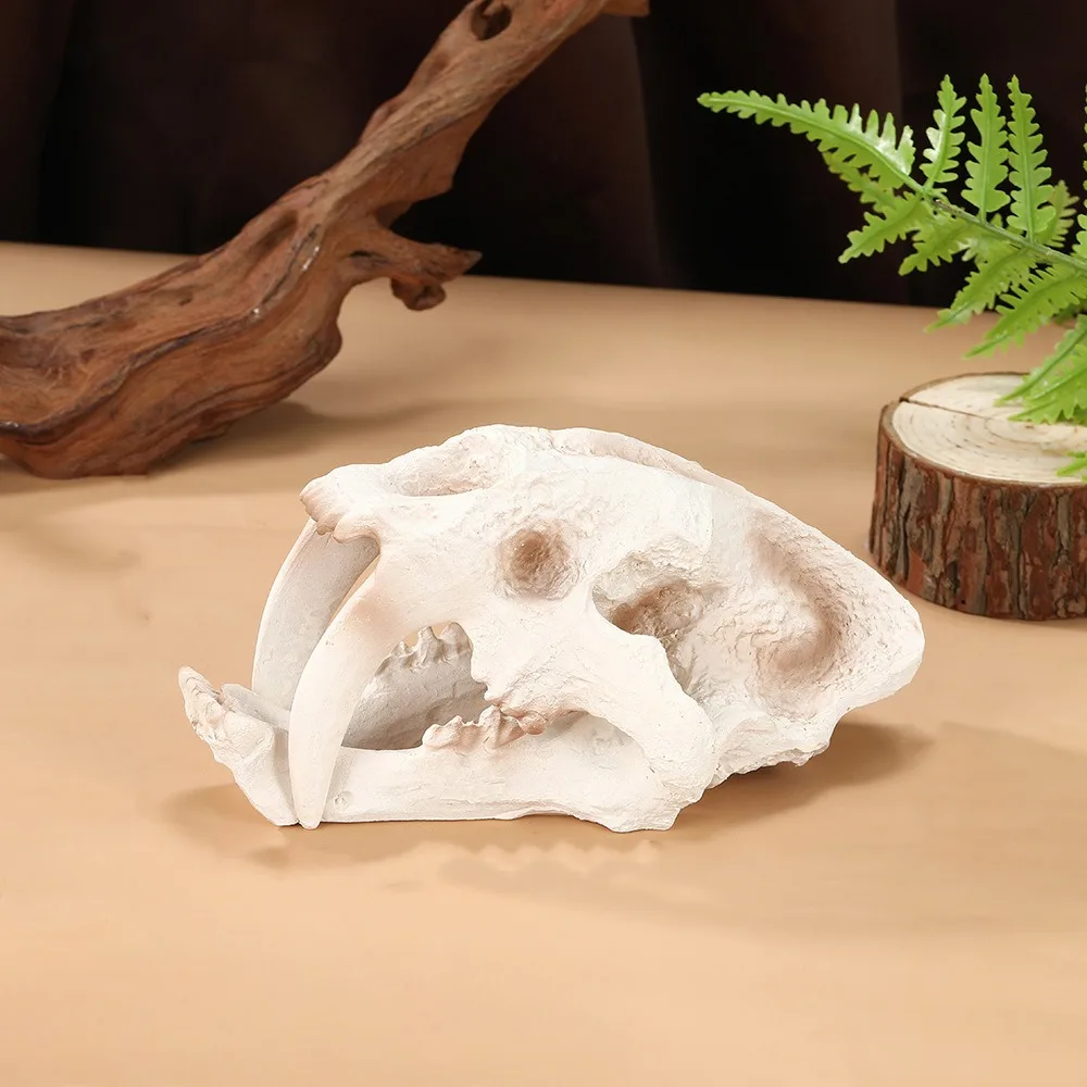 

Landscaping Ornament Resin Dinosaur Skeleton Simulated Lifelike Animal Skull Ornament Decorative Fish Tank Ornament Aquarium