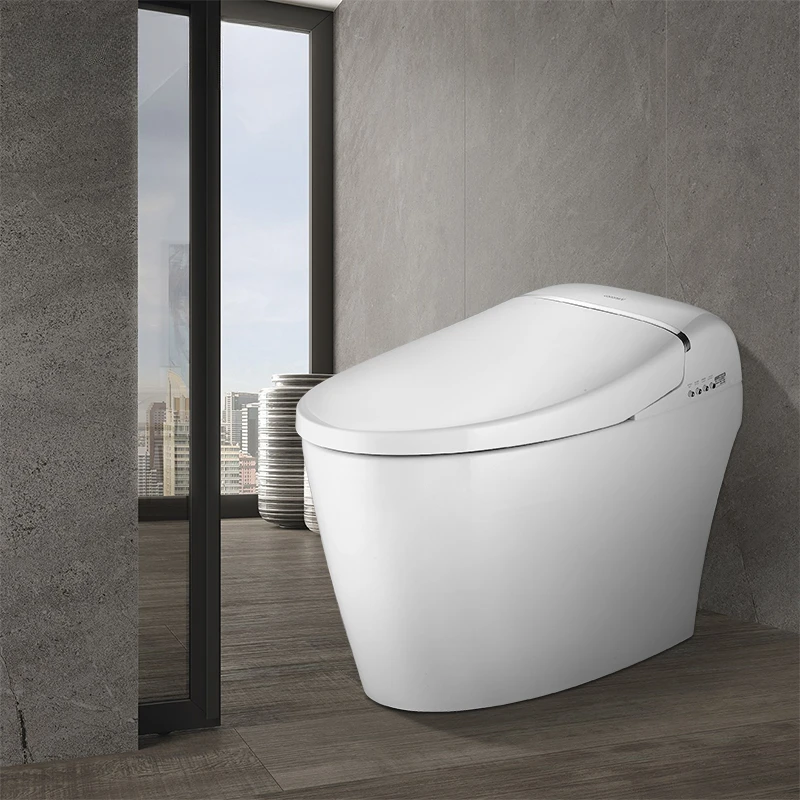 Temperature Regulation Smart Toilet, Music Seat, Restroom