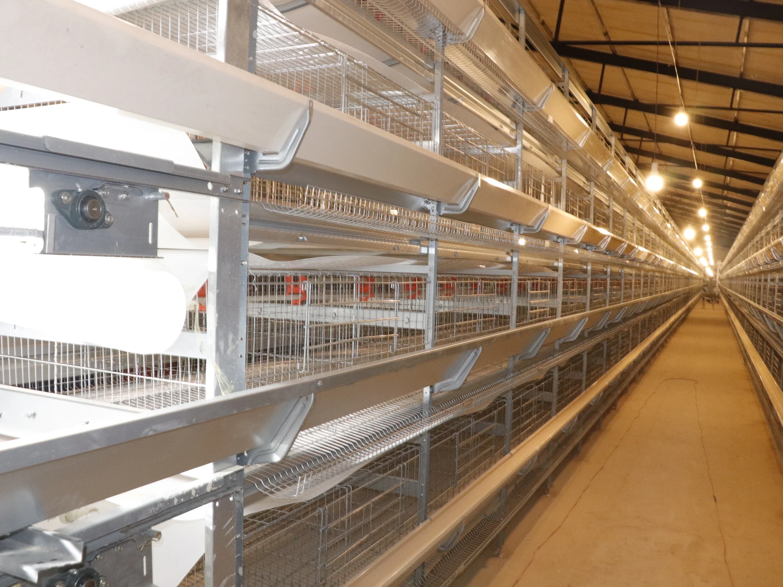 Automatic H Type Chicken Brooder Layer Cage Broiler 4 Layers Poultry Cage Hen Chicken Cage