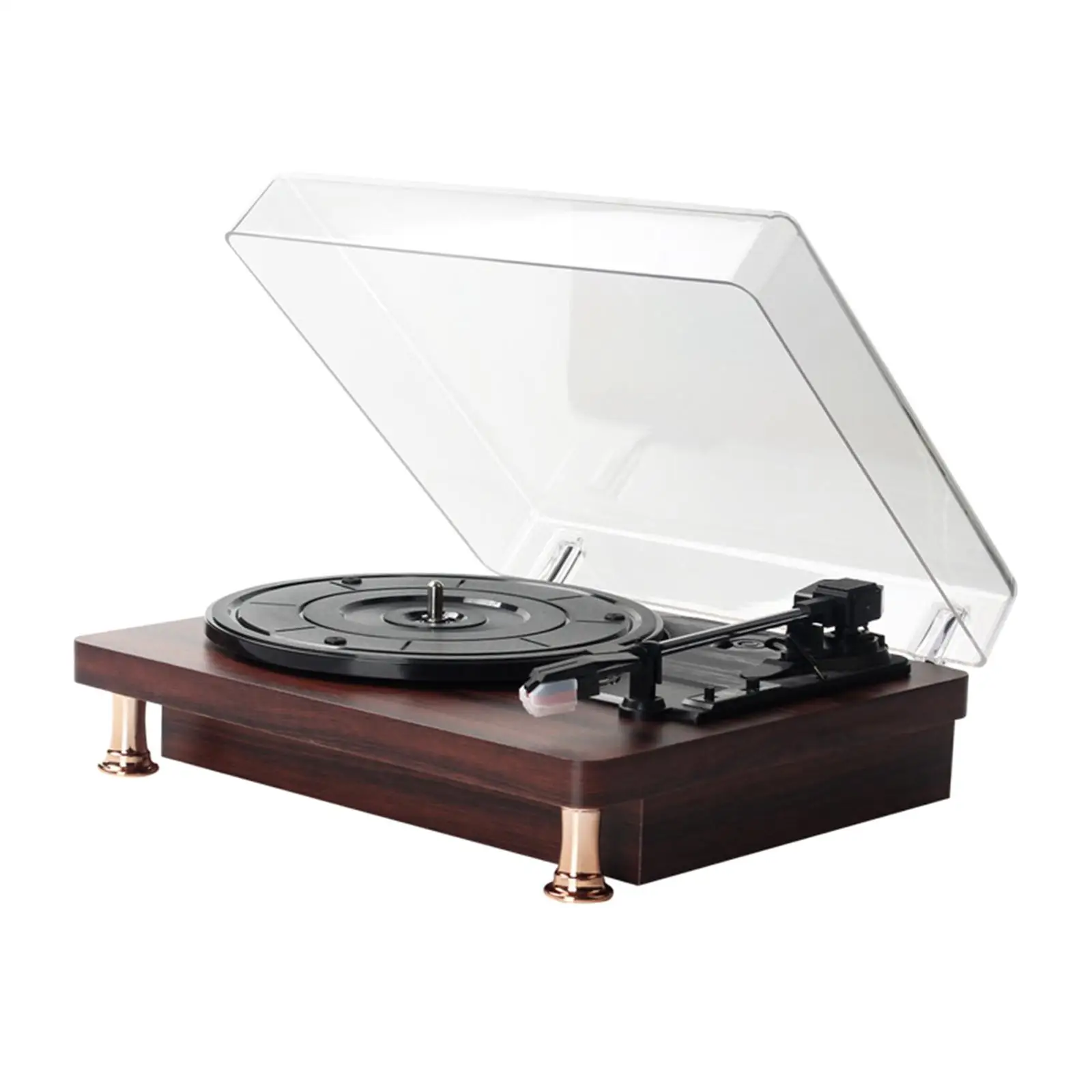 Vinyl Record Player Turntable Music Player 33/45/78 RPM for Home Decoration Souvenir Collection